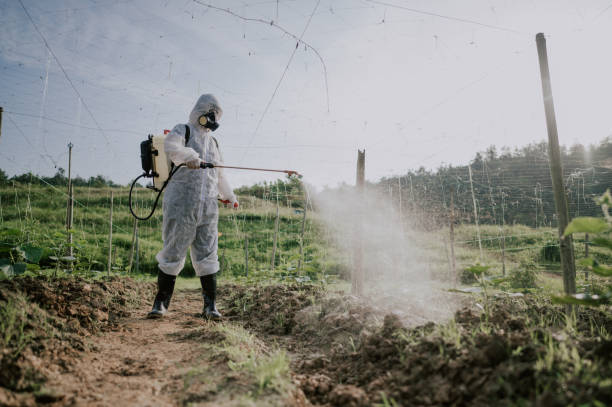 Best Mosquito Control Services  in Saltville, VA