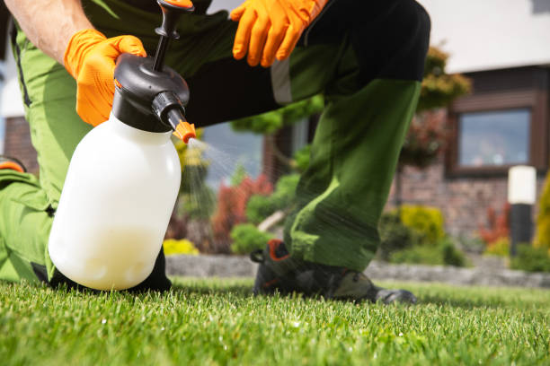Best Bed Bug Extermination  in Saltville, VA