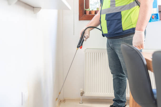 Best Local Pest Control Services  in Saltville, VA