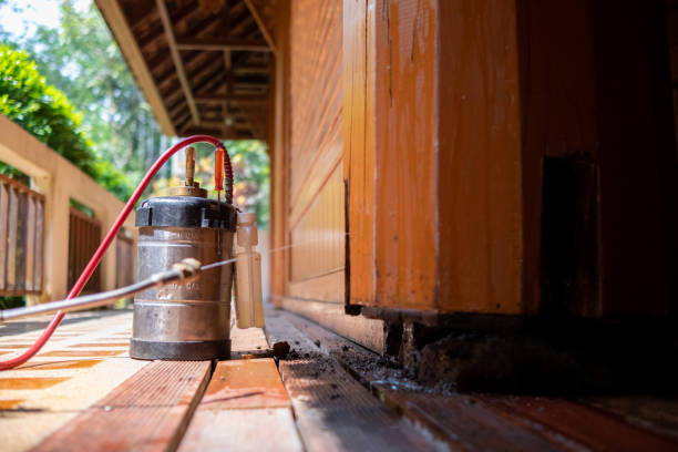 Best Rat Extermination Near Me  in Saltville, VA