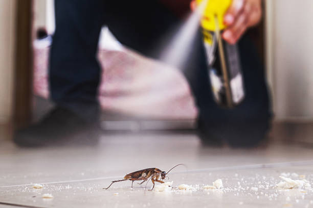 Best Emergency Pest Control  in Saltville, VA