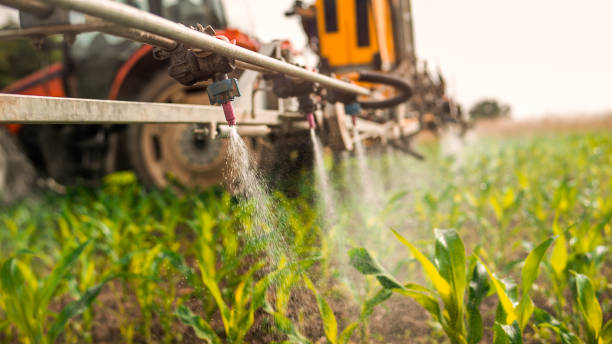 Best Pest Removal Services  in Saltville, VA